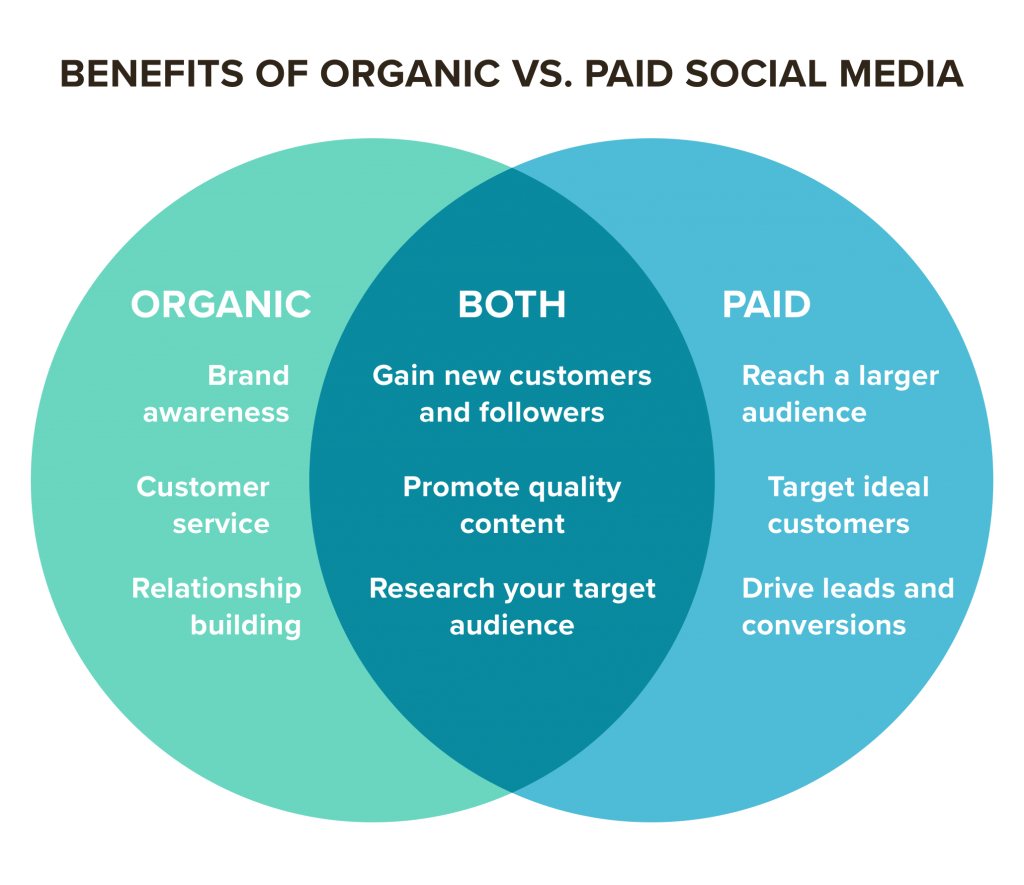 What Is Organic Social Media